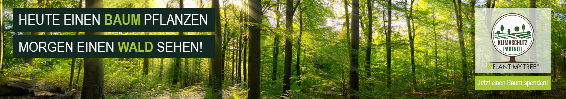 Heute einen Baum pflanzen mirgen einen Wald sehen. Spendenbaum von Plant-my-tree